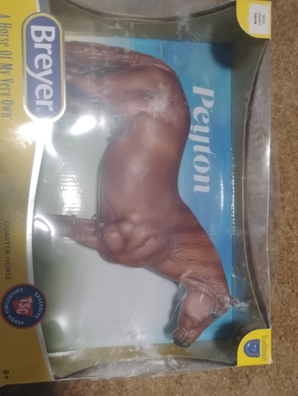 Peyton. Quarter Horse